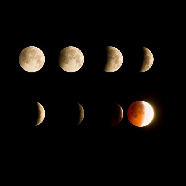 Moon Phases, Lunar Eclipse by SWON Design