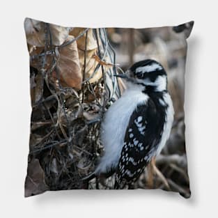 Downy Woodpecker. Pillow