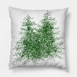 Spruce Trees Pillow