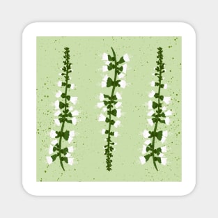 Basil Blossom Green Magnet