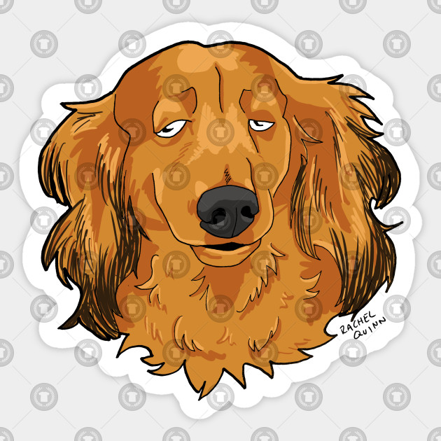 Long Haired Dachshund Long Haired Dachshund Sticker Teepublic