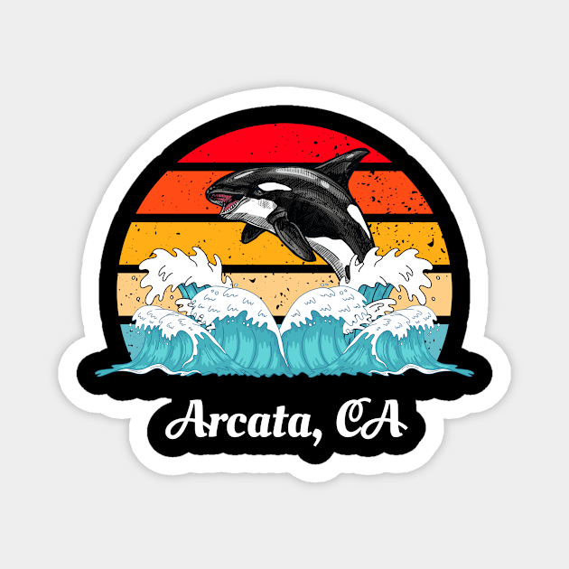 Arcata California Distressed Orca Killer Whale Waves Art Magnet by twizzler3b