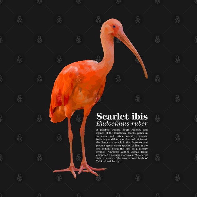 Scarlet ibis tropical bird white text by Ornamentum