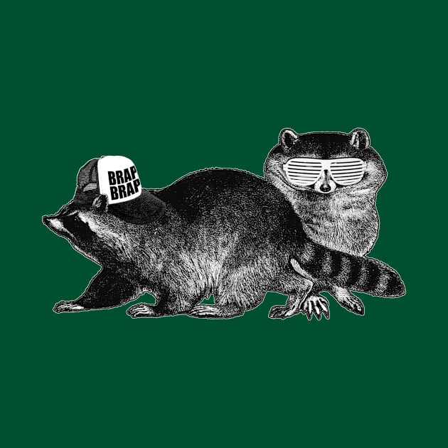 Raccoons: Nature's Teenagers by The Comedy Button