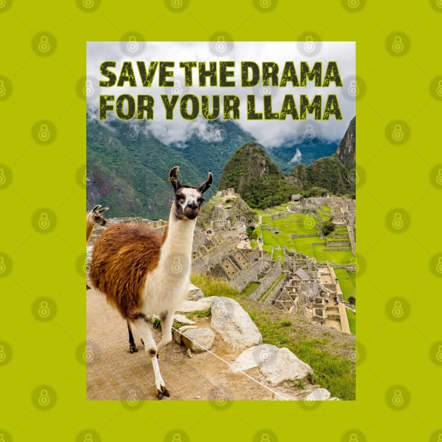 Save the Drama for your Llama at Machu Picchu by FrogAndToadsWorkshop