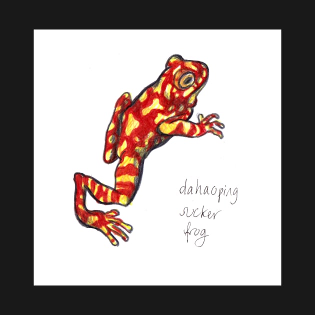 Dahaoping Sucker Frog by sadnettles