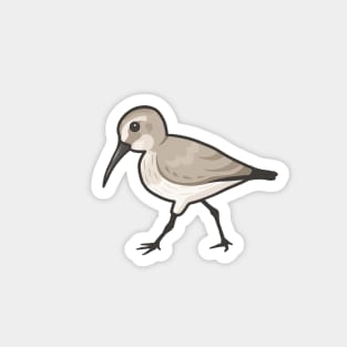 Dunlin Magnet