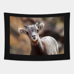 Bighorn Sheep Tapestry