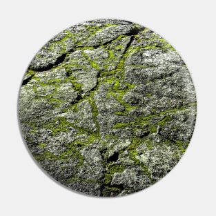 Rock & Moss Pin