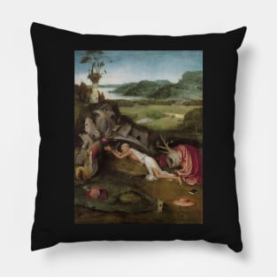 St. Jerome at Prayer - Hieronymus Bosch Pillow