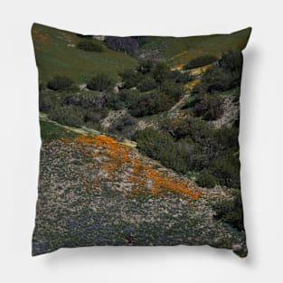 Poppies in the Distance! Pillow