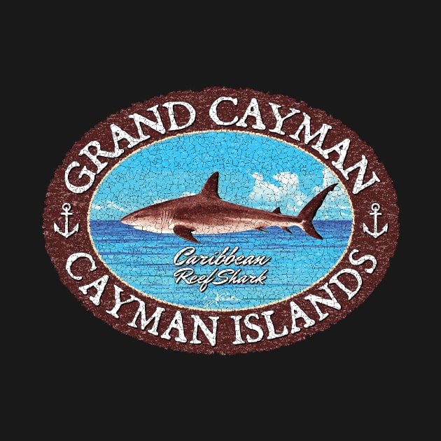 Grand Cayman, Cayman Islands, Caribbean Reef Shark by jcombs