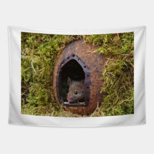 George the mouse in a log pile house - at the door Tapestry