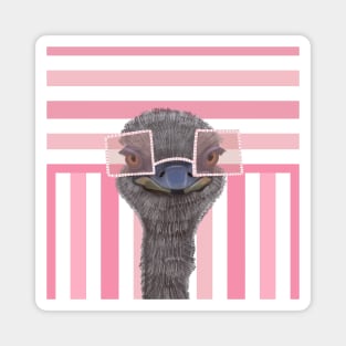 Funny Ostrich on Pink Stripes Magnet