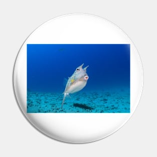 Long Horn Cowfish kiss Pin