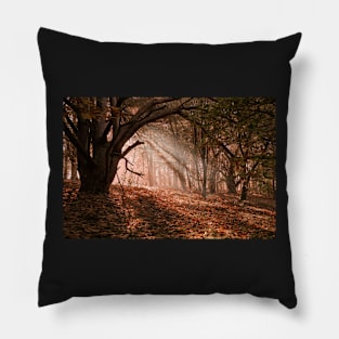 Autumn Light Pillow