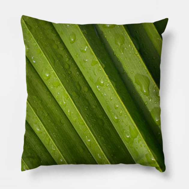 Water droplets Pillow by jwwallace