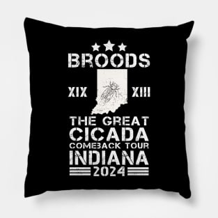 Great Cicada Comeback Tour Indiana 2024 Cicada broods XIII and XIX Pillow