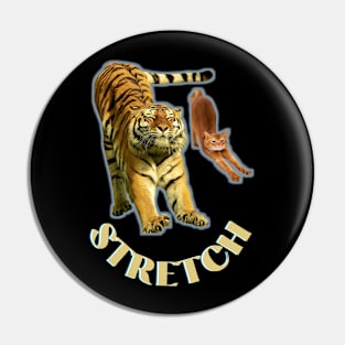 Stretch exercise by a tiger and a cat - gold text Pin