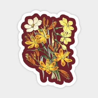 Yellow Flowers Magnet