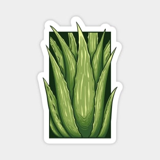 Vintage doodle illustration of Aloe vera Magnet