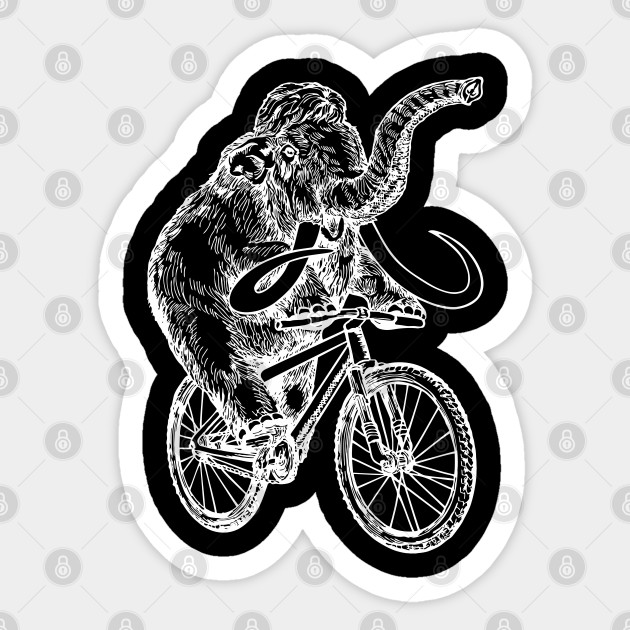 bike mammoth