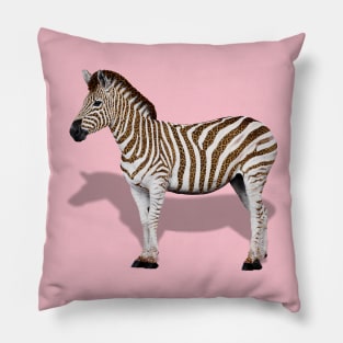 Zebra New Packaging Pillow