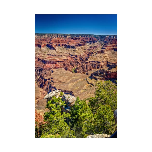 Mather Point Grand Canyon by Gestalt Imagery