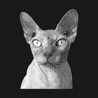 Black and White Sphynx T-Shirt