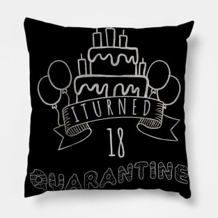 I Turned 18 In Quarantine funny idea birthday Pillow