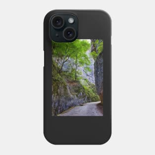 Beautiful gorge in Carpathian mountains Phone Case