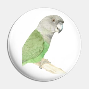 brown-headed parrot watercolor portrait Pin