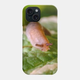 Cute Little Friendly Slug Nature Photograph Phone Case