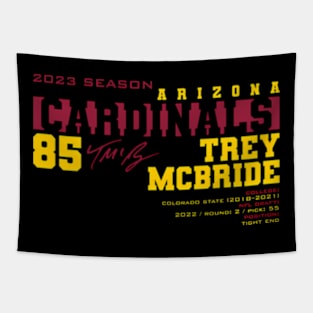 Mcbride - Cardinals - 2023 Tapestry