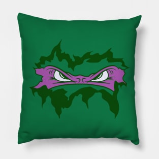 The Ninja Inside/Donny Pillow