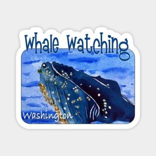 Whale Watching, Washington Magnet