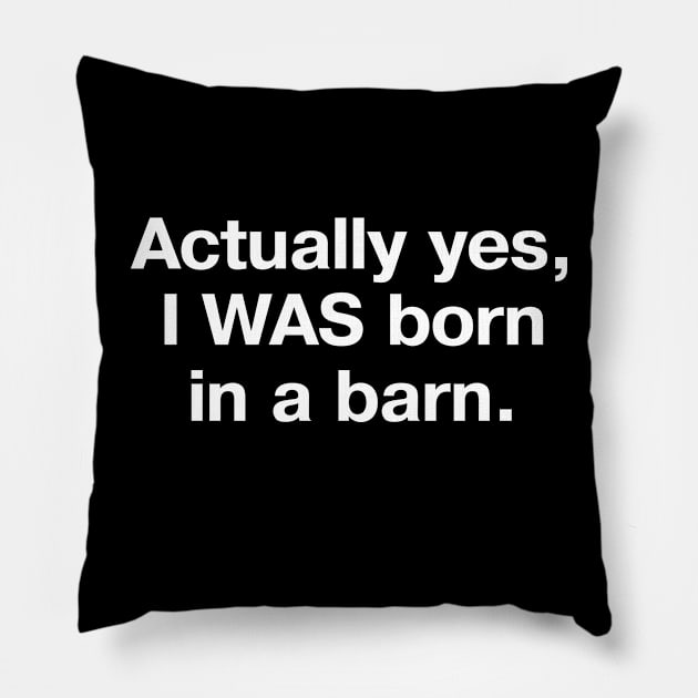 Actually yes, I WAS born in a barn. Pillow by TheBestWords