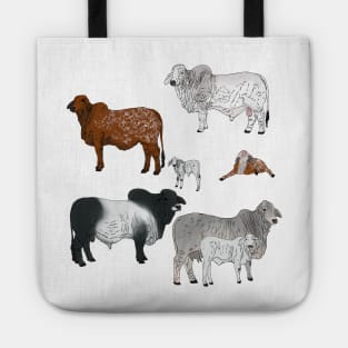 Brahman Cattle Transparent Tote