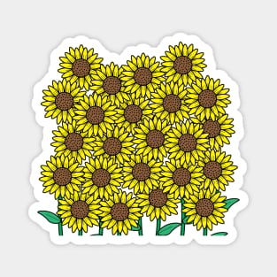 A bunch of sunflowers Magnet