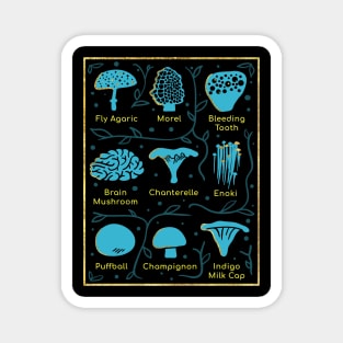 Types of Mushrooms Magnet