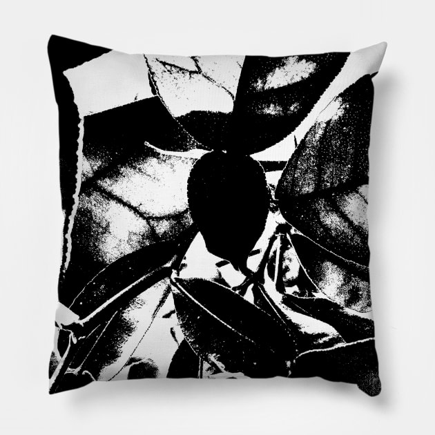 Black and White Grapefruit Leaf Design Pillow by Ric1926