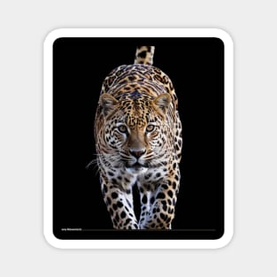 super jaguar more well knowing " Onça' pintada do Brasil 🇧🇷 " Magnet