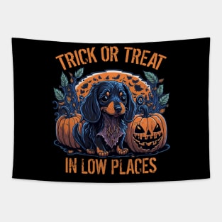 Cute Puppy Dachshund Lover Halloween Trick or Treat In Low Places Tapestry