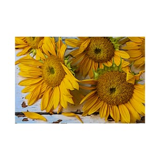 Fading Spent Sunflowers Still life T-Shirt