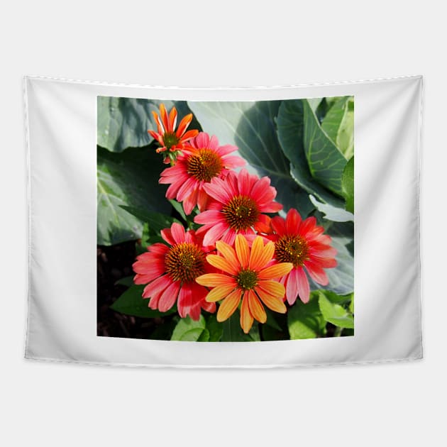 Cheyenne Spirit Echinacea Flowers in the Summer Garden Tapestry by Scubagirlamy