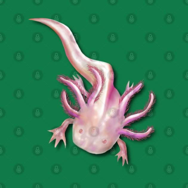 Illustrated Albino Axolotl by H. R. Sinclair