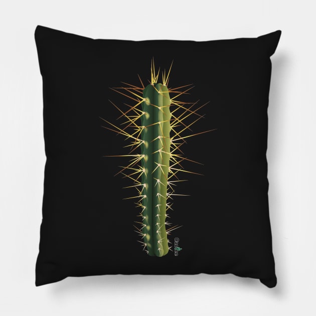 Trichocereus Bridgesii Pillow by Cactee