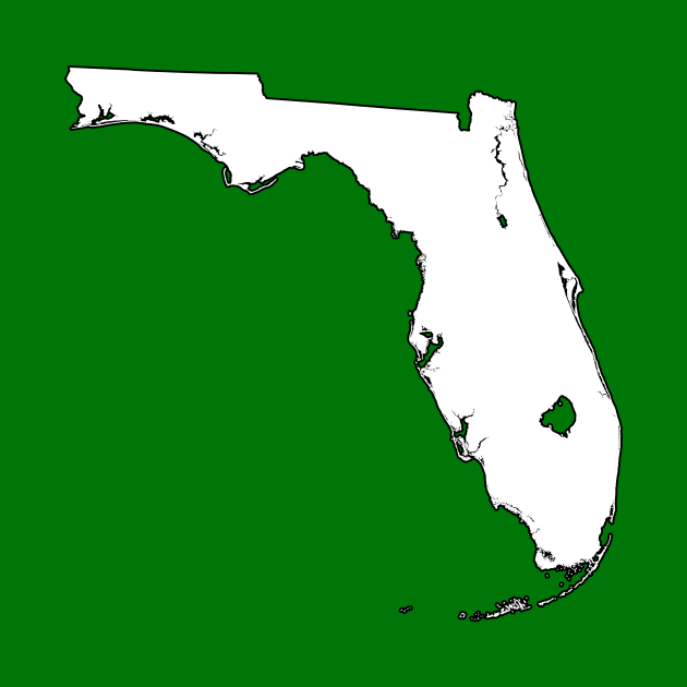 State of Florida by Basement Mastermind by BasementMaster