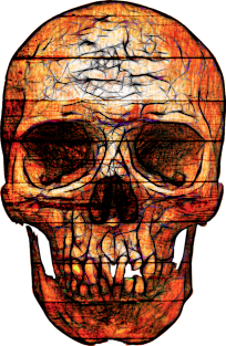 Wooden Skull Magnet