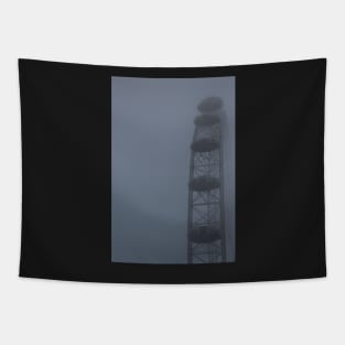 london eye on a foggy day Tapestry